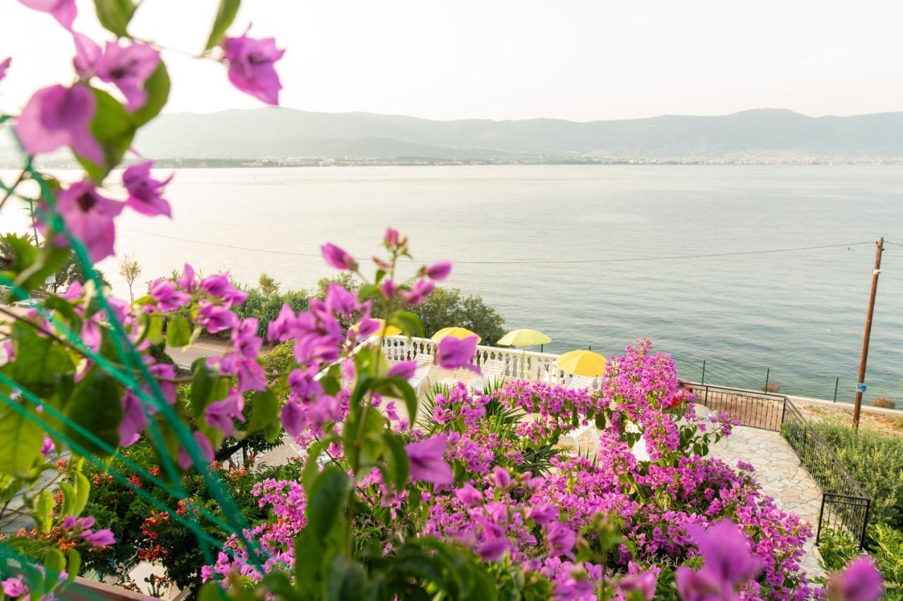 Villa Fjaba - By The Sea - With The Big Terraces & Great Sea View Trogir Bagian luar foto